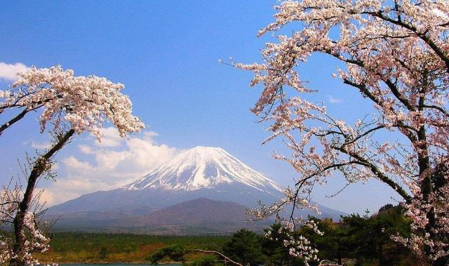 日本富士山的所有权属于谁？