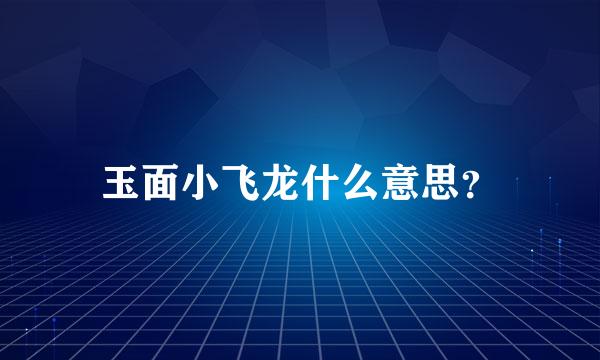 玉面小飞龙什么意思？