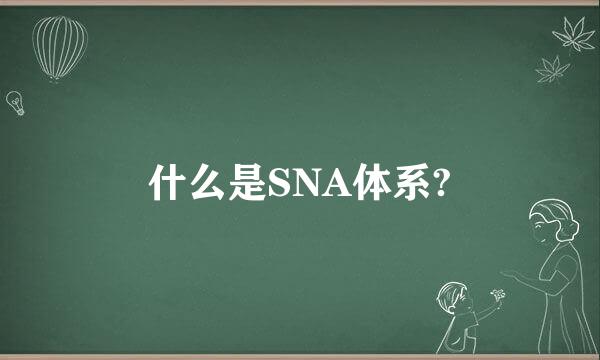 什么是SNA体系?