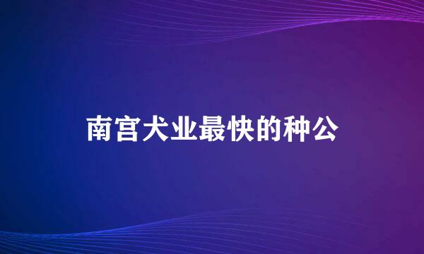 南宫犬业最快的种公