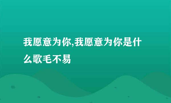 我愿意为你,我愿意为你是什么歌毛不易