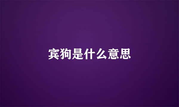 宾狗是什么意思