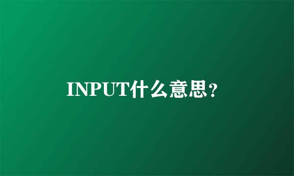 INPUT什么意思？