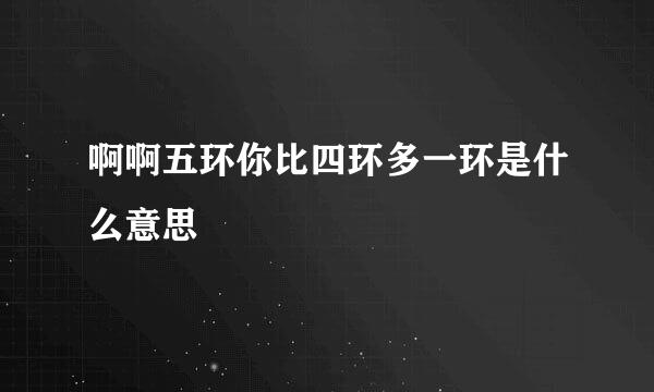 啊啊五环你比四环多一环是什么意思