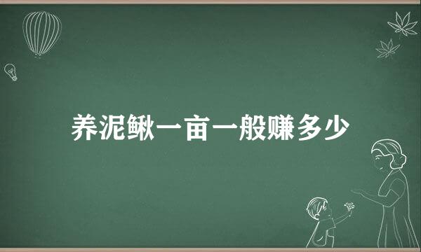 养泥鳅一亩一般赚多少