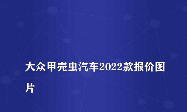 
大众甲壳虫汽车2022款报价图片
