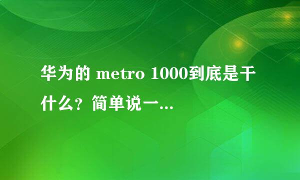 华为的 metro 1000到底是干什么？简单说一下怎么接？