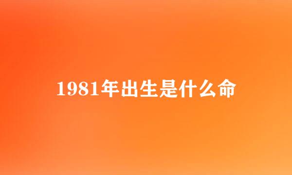 1981年出生是什么命