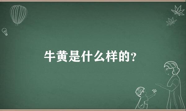 牛黄是什么样的？