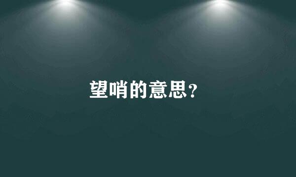 望哨的意思？