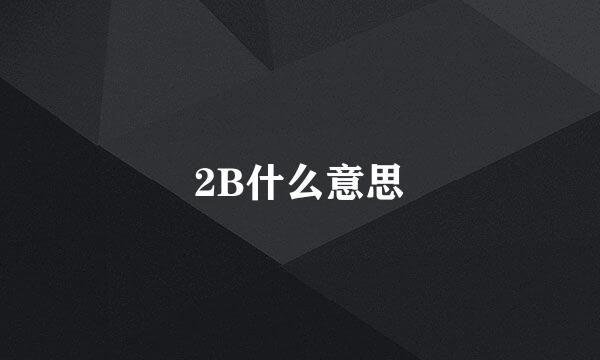 2B什么意思