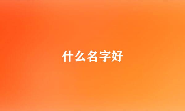 什么名字好