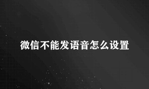 微信不能发语音怎么设置