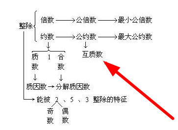 相邻的两个自然数是互质数吗