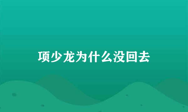 项少龙为什么没回去