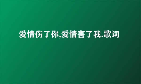 爱情伤了你,爱情害了我.歌词