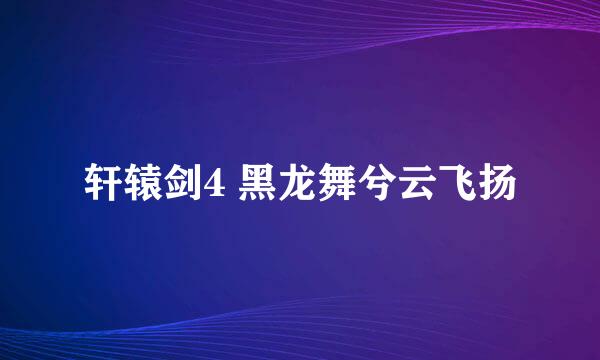 轩辕剑4 黑龙舞兮云飞扬