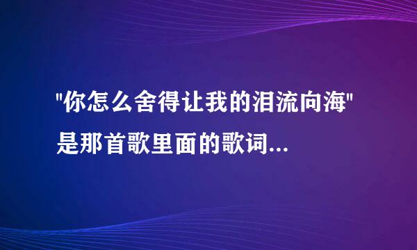 ''你怎么舍得让我的泪流向海''是那首歌里面的歌词,谁唱的