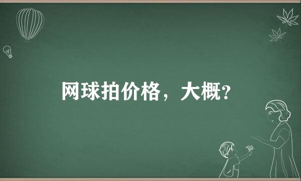 网球拍价格，大概？