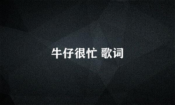 牛仔很忙 歌词