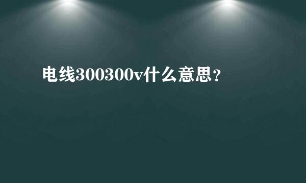 电线300300v什么意思？