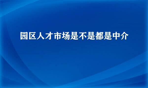 园区人才市场是不是都是中介