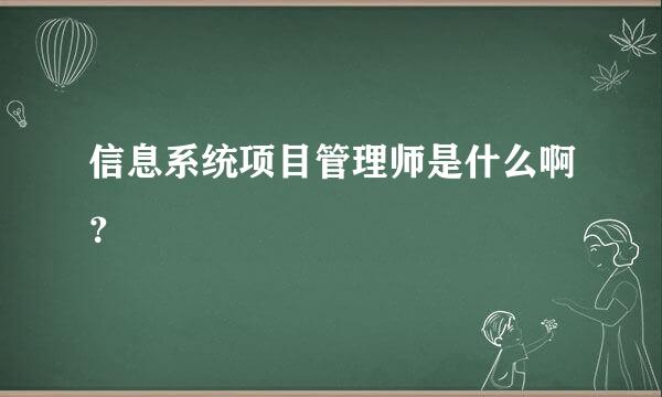 信息系统项目管理师是什么啊？