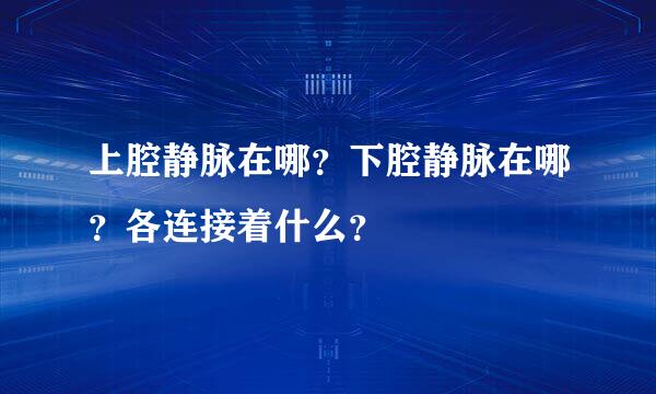 上腔静脉在哪？下腔静脉在哪？各连接着什么？