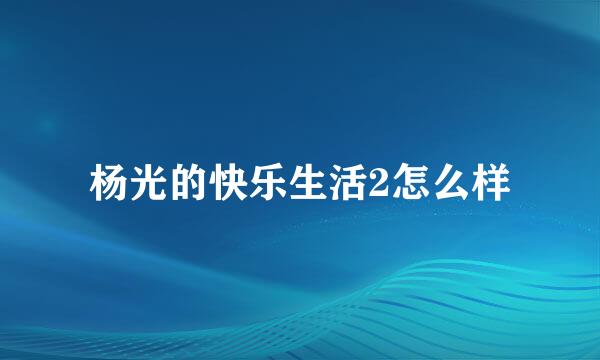 杨光的快乐生活2怎么样