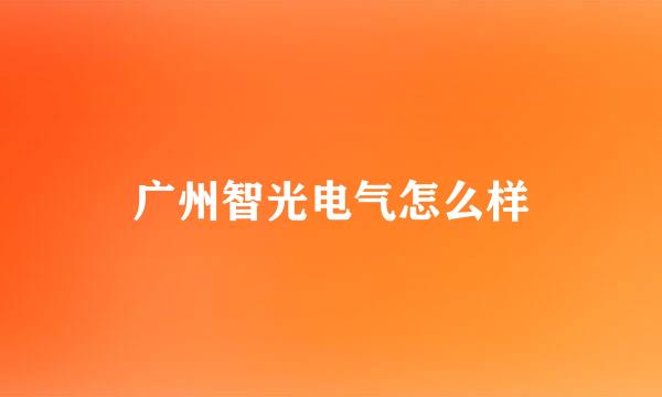 广州智光电气怎么样