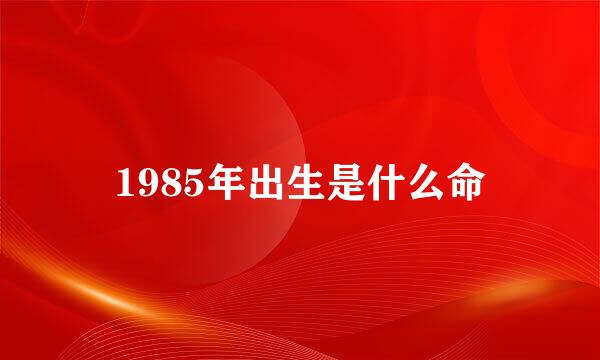 1985年出生是什么命