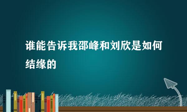 谁能告诉我邵峰和刘欣是如何结缘的