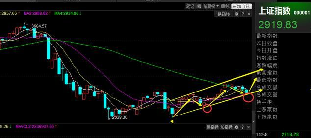 买跌不买涨是什么意思？