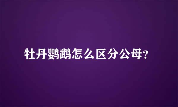 牡丹鹦鹉怎么区分公母？