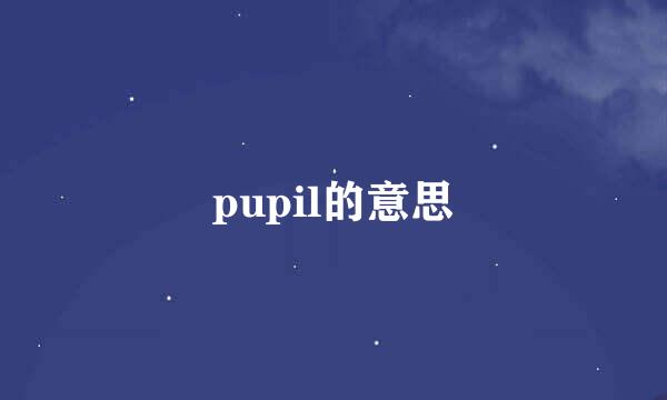 pupil的意思