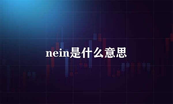 nein是什么意思