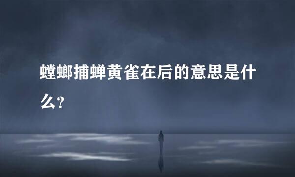 螳螂捕蝉黄雀在后的意思是什么？