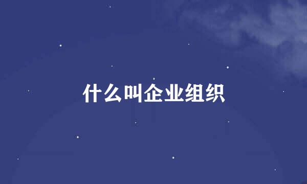 什么叫企业组织