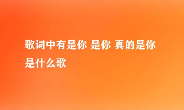 歌词中有是你 是你 真的是你 是什么歌