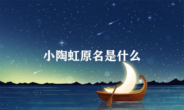 小陶虹原名是什么