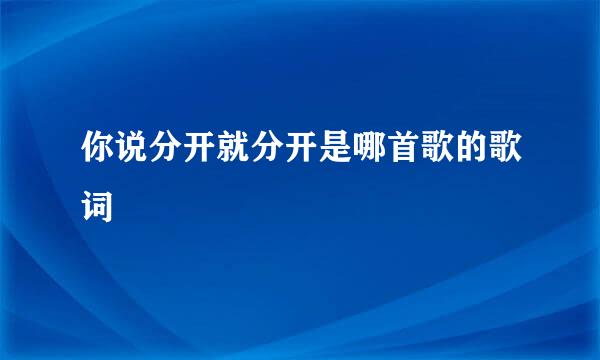 你说分开就分开是哪首歌的歌词