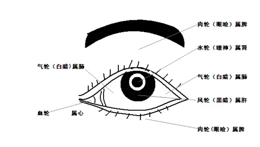 瞳仁的拼音怎么写