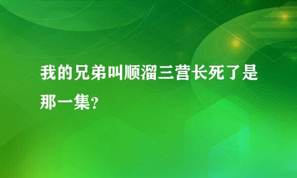 我的兄弟叫顺溜三营长死了是那一集？