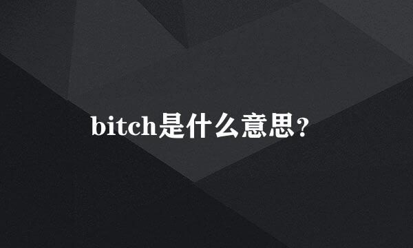 bitch是什么意思？