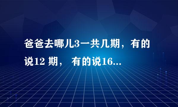 爸爸去哪儿3一共几期，有的说12 期， 有的说16期。到底好多期？