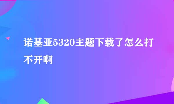 诺基亚5320主题下载了怎么打不开啊