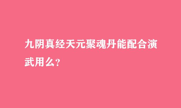 九阴真经天元聚魂丹能配合演武用么？