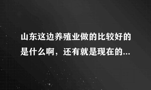 山东这边养殖业做的比较好的是什么啊，还有就是现在的能解决养牛业的牧草是哪些呢？华北昌盛到底怎样