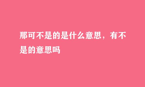 那可不是的是什么意思，有不是的意思吗