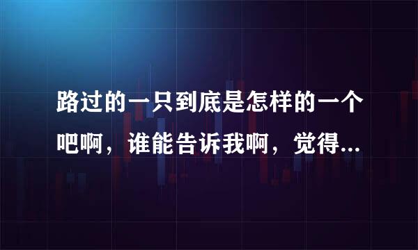 路过的一只到底是怎样的一个吧啊，谁能告诉我啊，觉得那吧人气好旺的样子